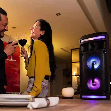  What kind of speaker do I need for a party?