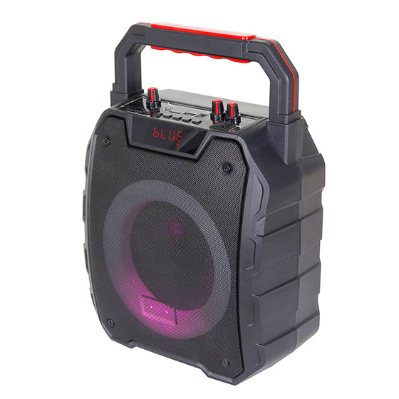 EDEN-610 Outdoor portable party speaker